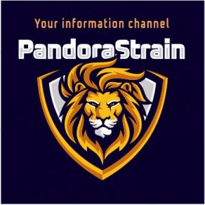 Pandora Strain